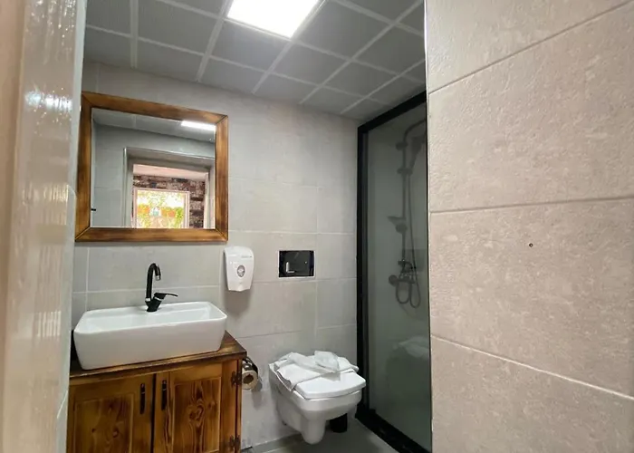 Imerek Tas Ev Hotel de apartamente